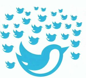 build a twitter following-min