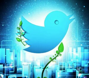 how-your-brand-can-leverage-the-power-of-twitter-for-growth-and-rapid-expansion